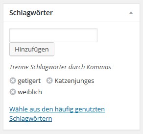 Schlagwörter-Widget