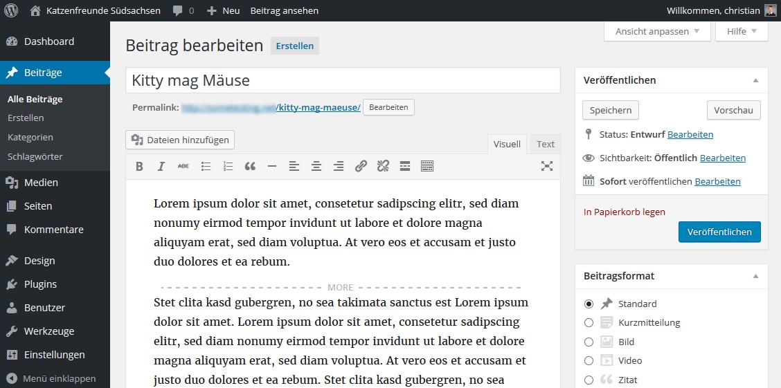 Weiterlesen-Tag im Editor