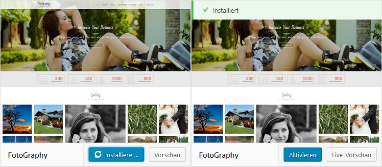 Theme Installation