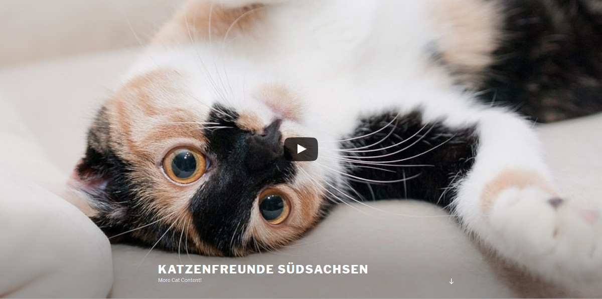 Header mit Video