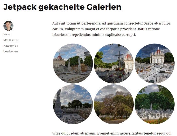 Das Jetpack-Modul "Gekachelte Galerien" mit Design-Variante "Kreise"