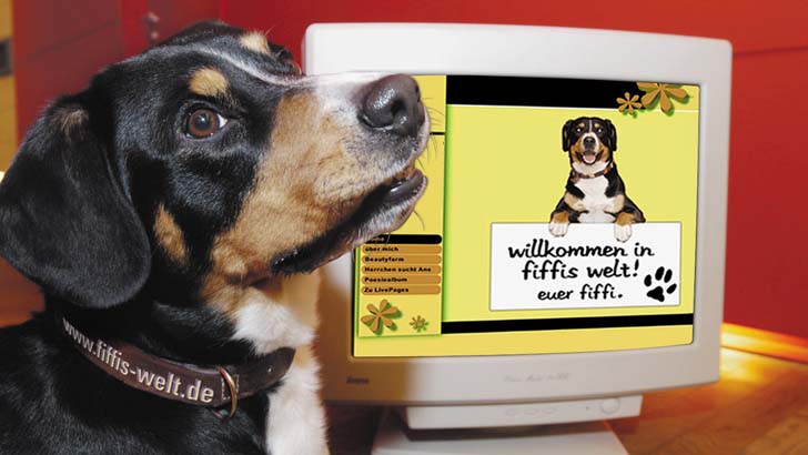 Hund Fiffi vor seiner eigenen Hunde-Homepage