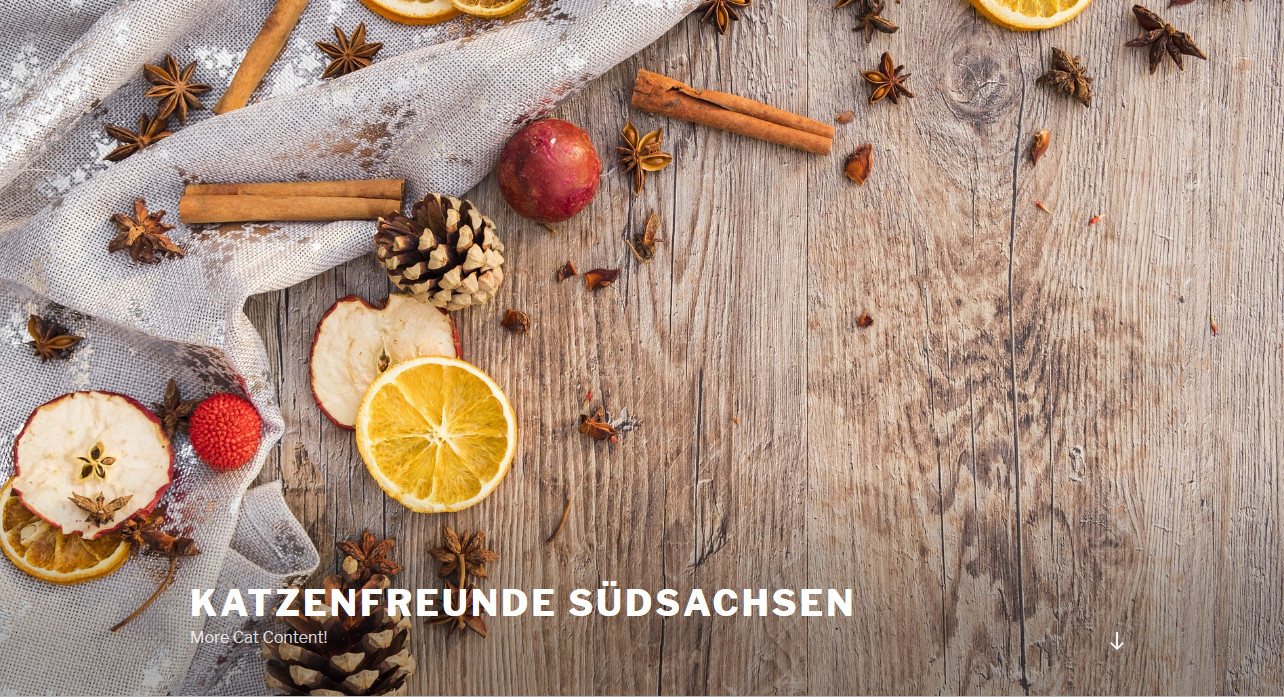 Weihnachts-Header im Theme Twentyseventeen
