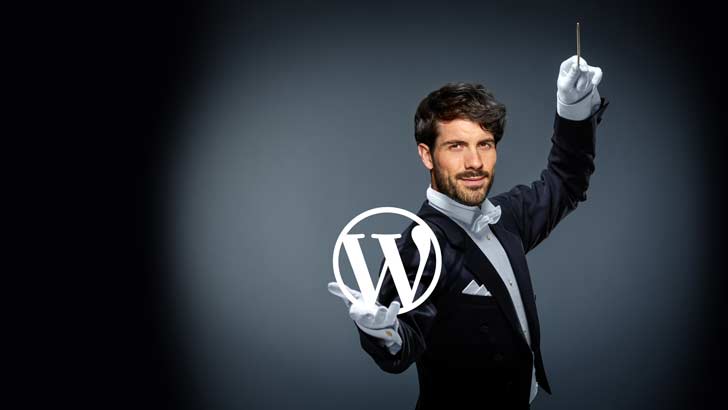 Dirigent WordPress