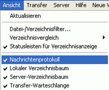 So nutzen Sie FTP für Ihre Website-9.png